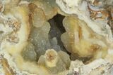 Agatized Fossil Coral With Druzy Quartz - Florida #188016-1